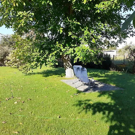 Kusche